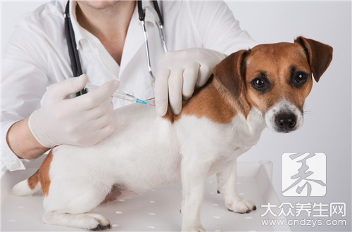 被猫抓伤了需要打狂犬疫苗吗