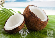 椰子粉可以做什么吃的