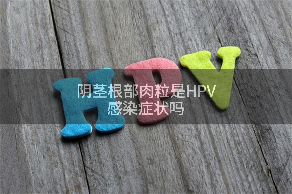 阴茎根部肉粒是HPV感染症状吗