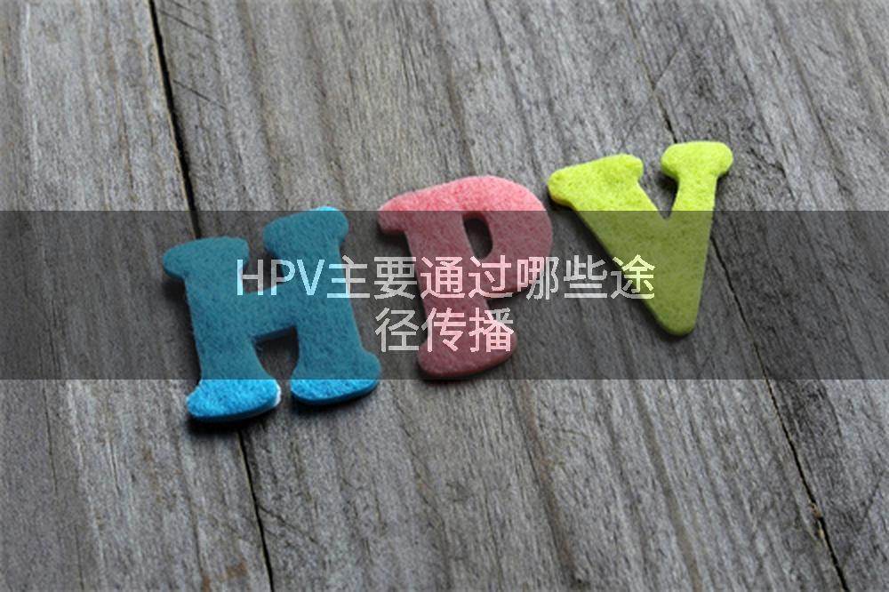 HPV主要通过哪些途径传播