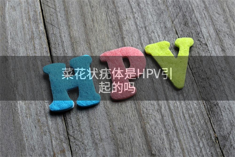 菜花状疣体是HPV引起的吗