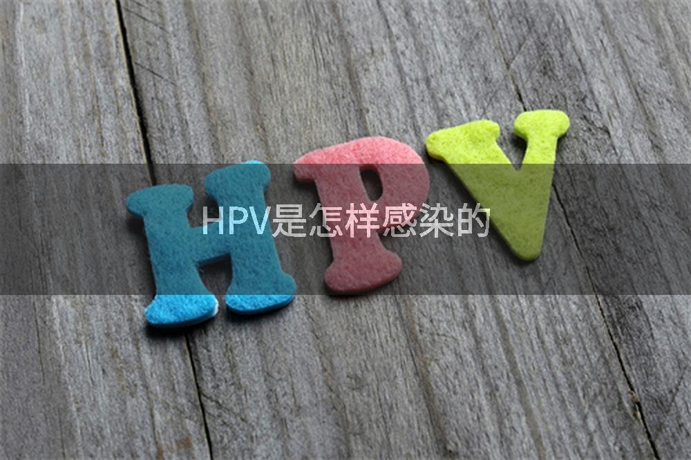 HPV是怎样感染的