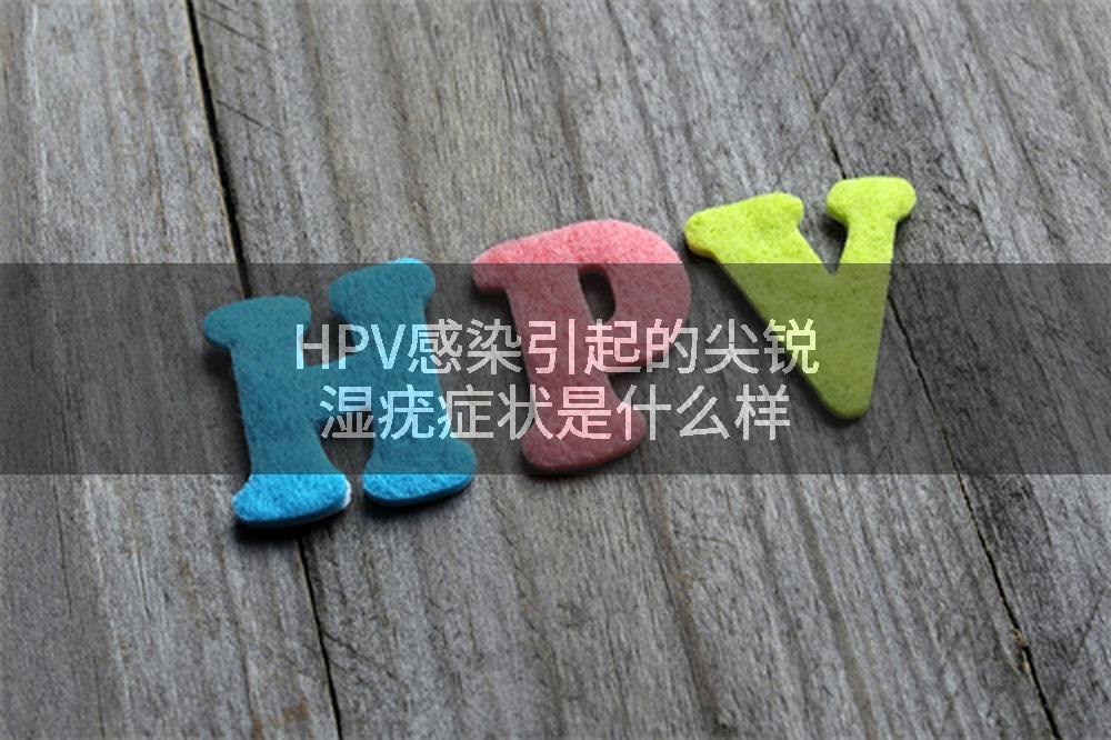 HPV感染引起的尖锐湿疣症状是什么样