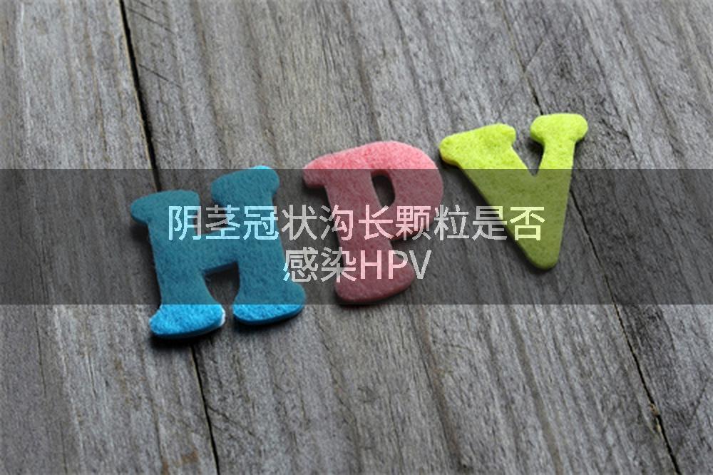 阴茎冠状沟长颗粒是否感染HPV