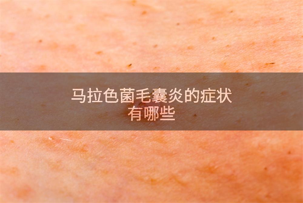 马拉色菌毛囊炎的症状有哪些