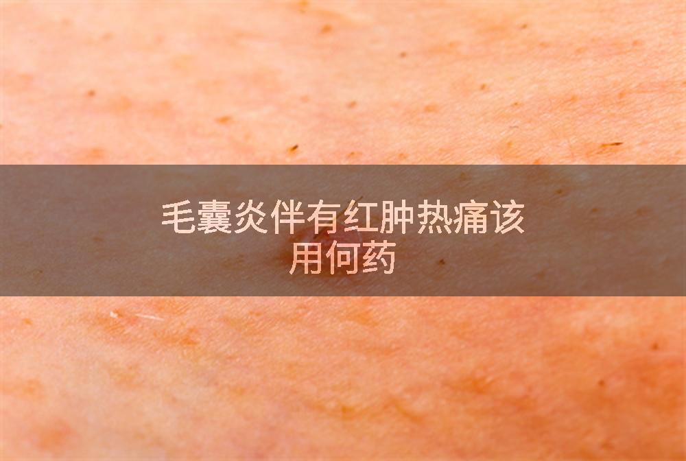 毛囊炎伴有红肿热痛该用何药