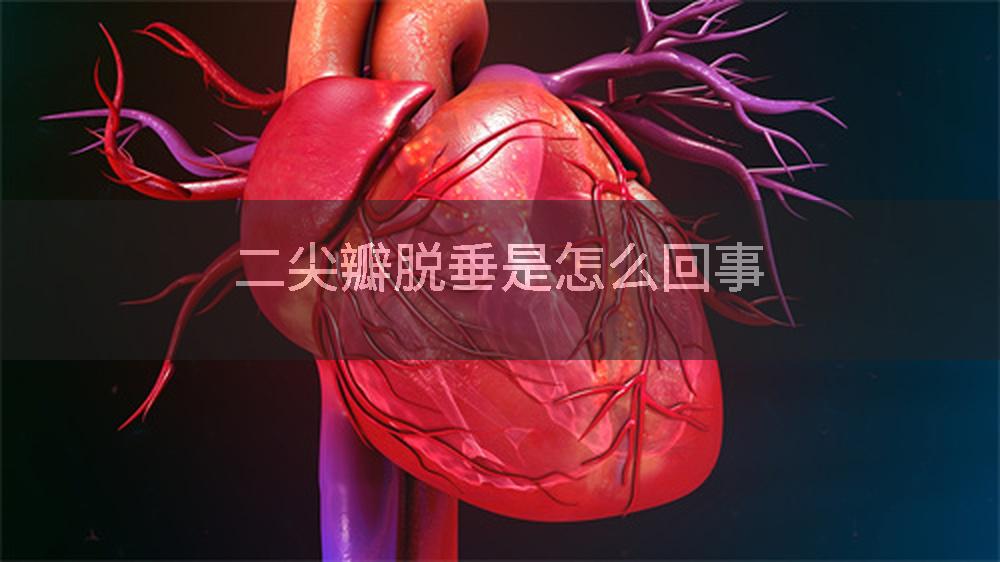 二尖瓣脱垂是怎么回事