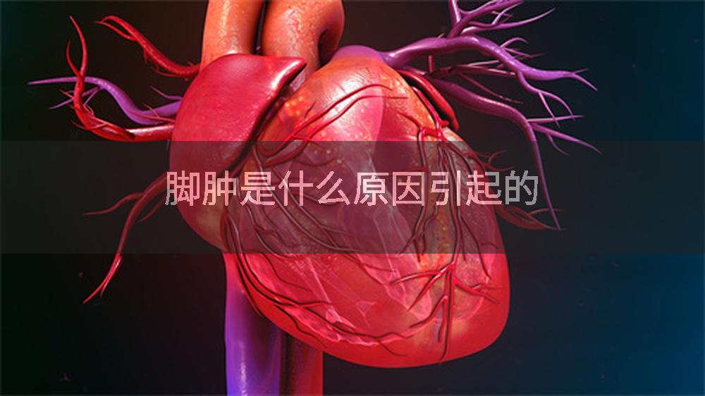 脚肿是什么原因引起的