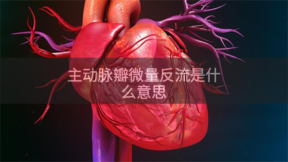 主动脉瓣微量反流是什么意思