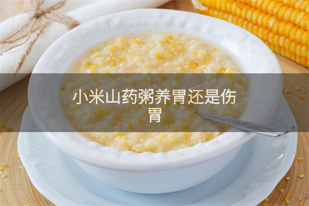 小米山药粥养胃还是伤胃