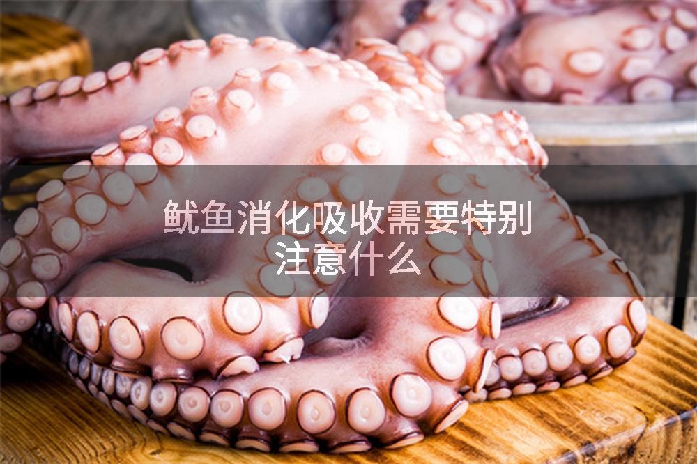 鱿鱼消化吸收需要特别注意什么