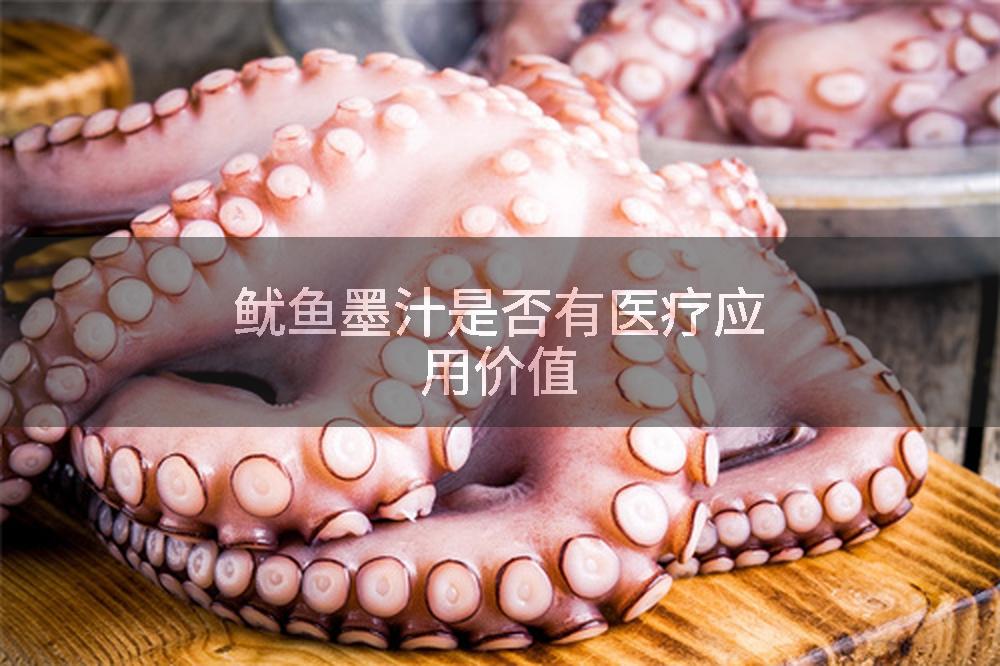 鱿鱼墨汁是否有医疗应用价值