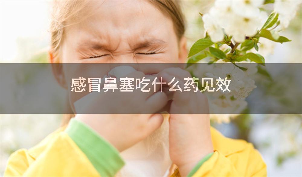 感冒鼻塞吃什么药见效