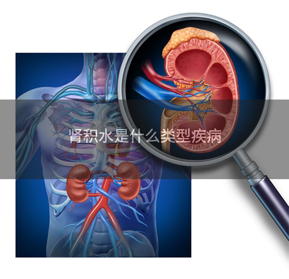 肾积水是什么类型疾病