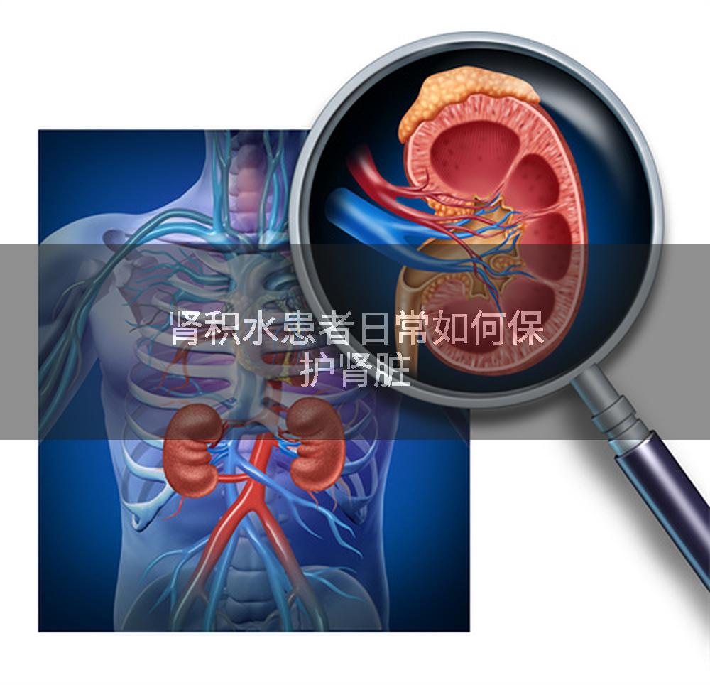 肾积水患者日常如何保护肾脏