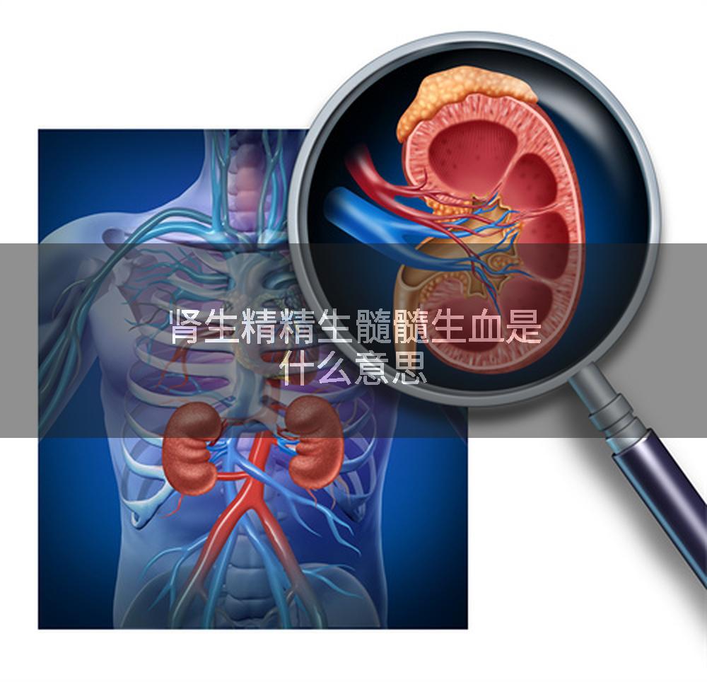 肾生精精生髓髓生血是什么意思