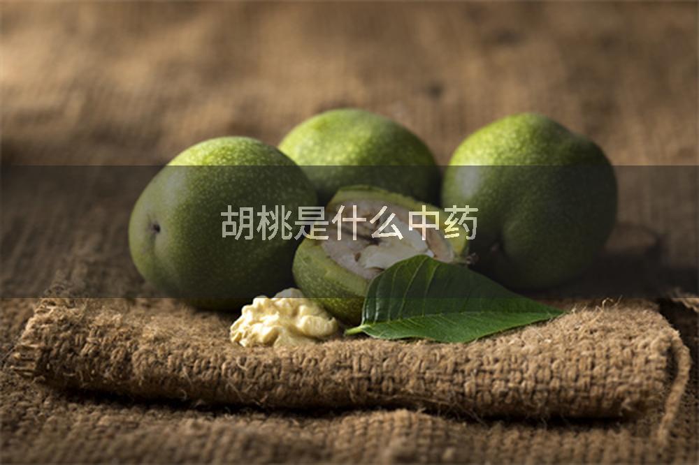 胡桃是什么中药