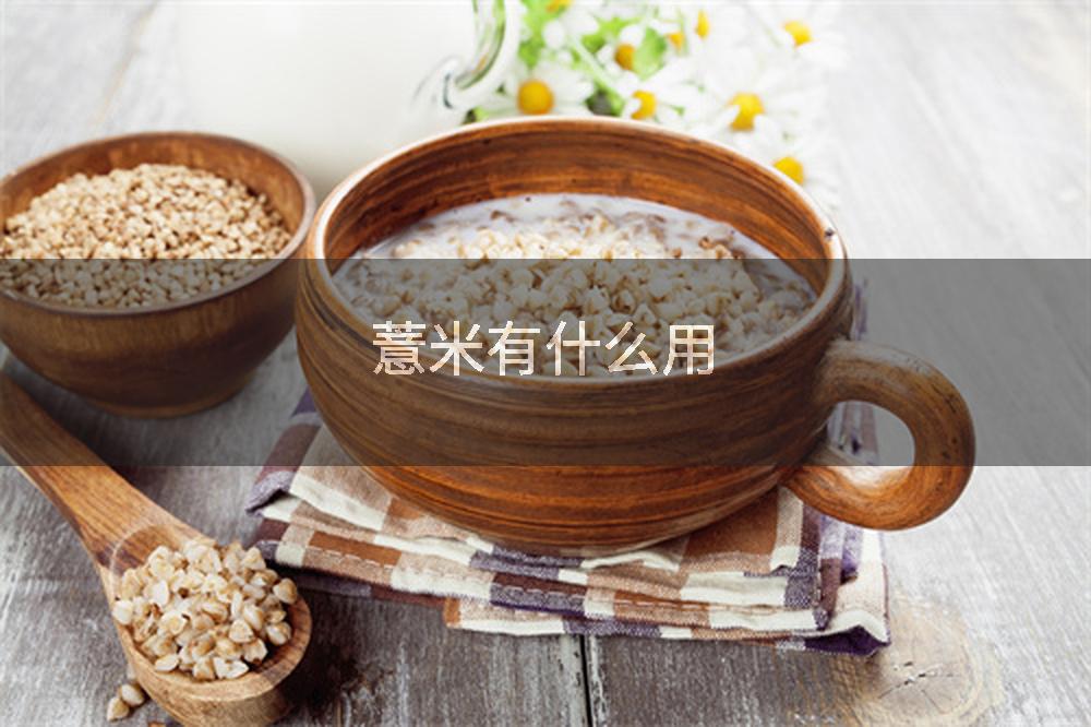 薏米有什么用