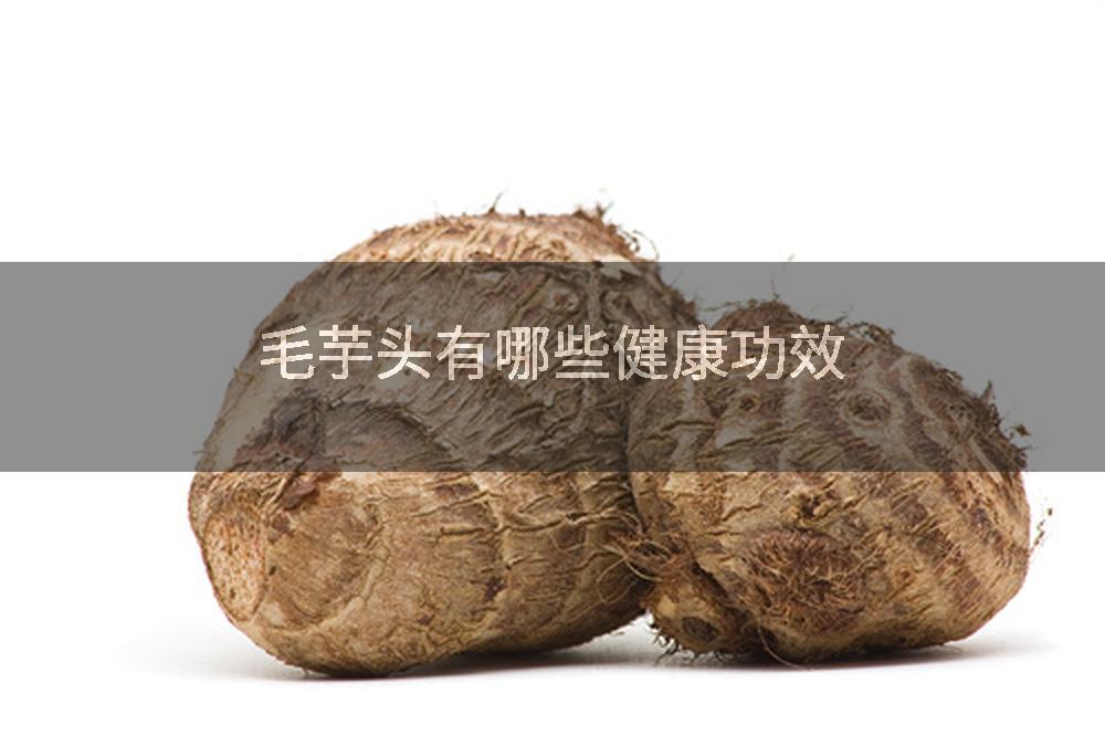 毛芋头有哪些健康功效