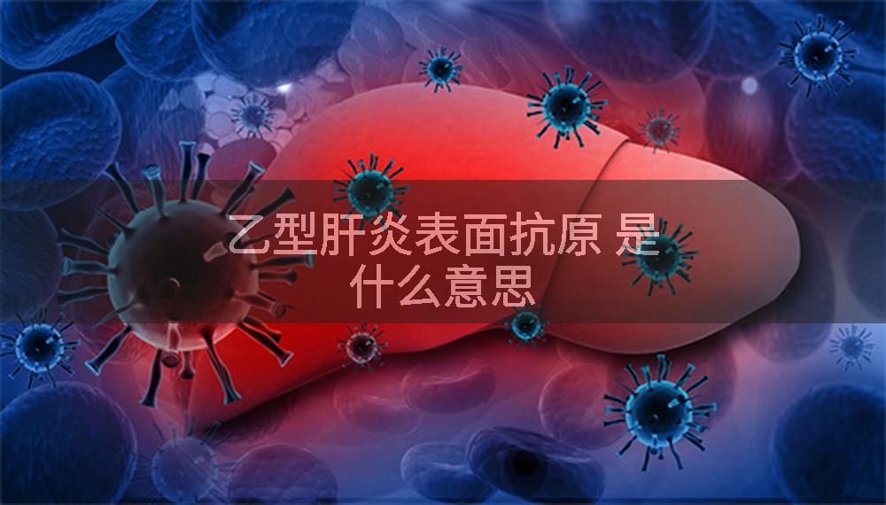乙型肝炎表面抗原 是什么意思