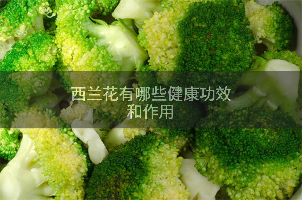 西兰花有哪些健康功效和作用