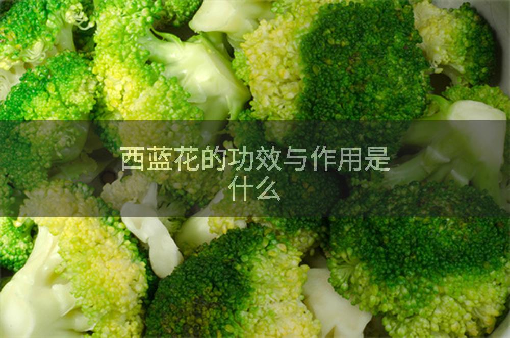 西蓝花的功效与作用是什么