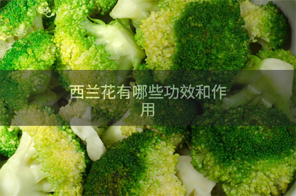西兰花有哪些功效和作用