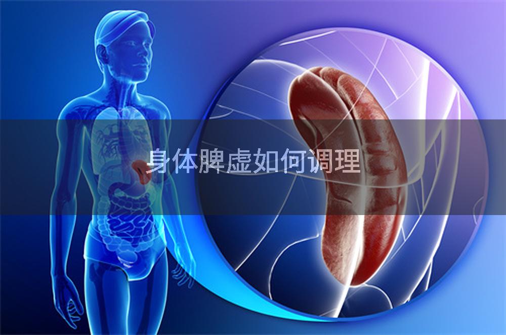 身体脾虚如何调理