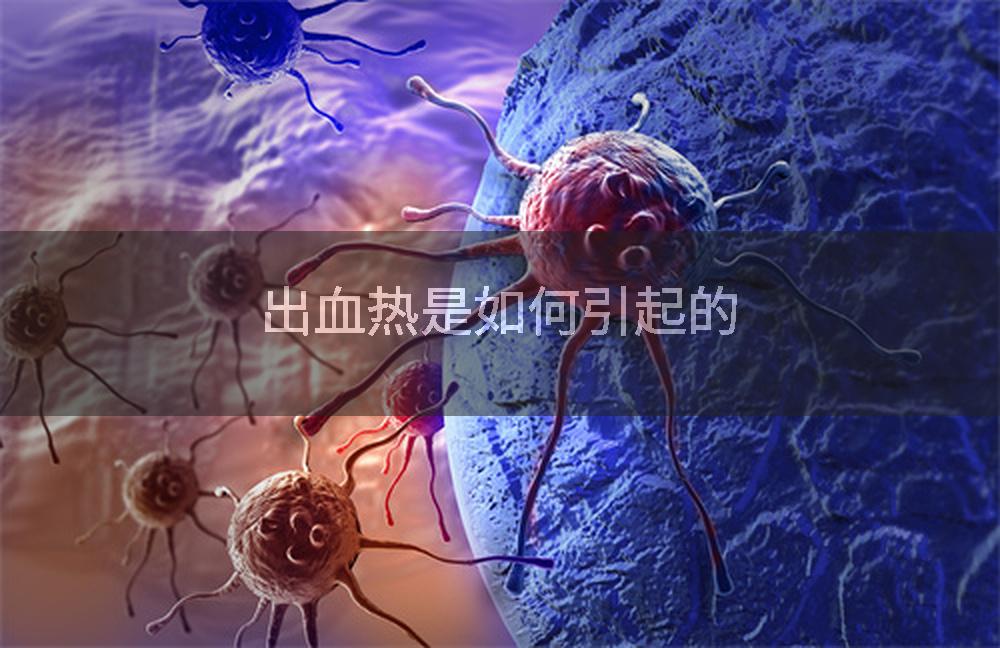 出血热是如何引起的