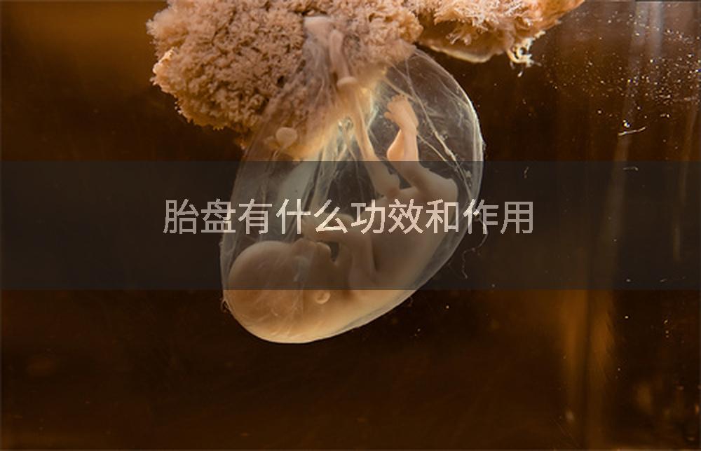 胎盘有什么功效和作用