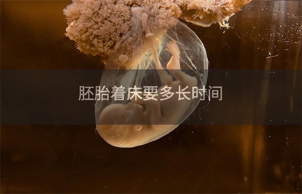 胚胎着床要多长时间