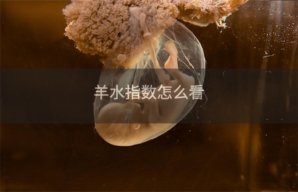 羊水指数怎么看