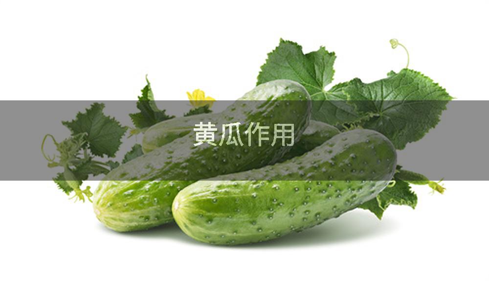 黄瓜作用