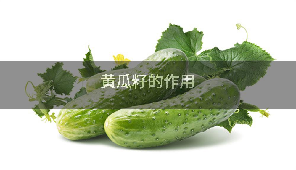 黄瓜籽的作用