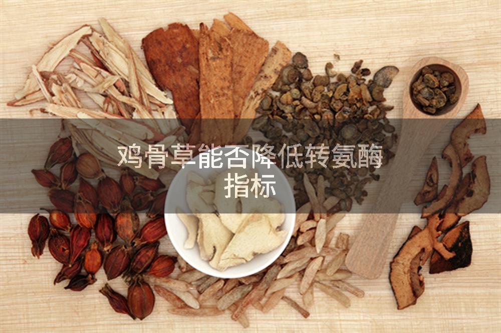 鸡骨草能否降低转氨酶指标