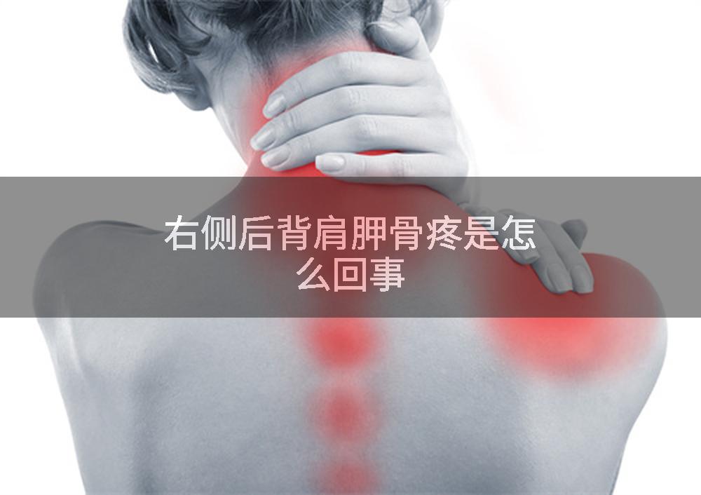 右侧后背肩胛骨疼是怎么回事