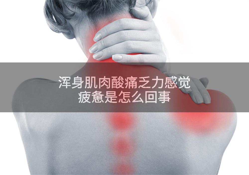 浑身肌肉酸痛乏力感觉疲惫是怎么回事