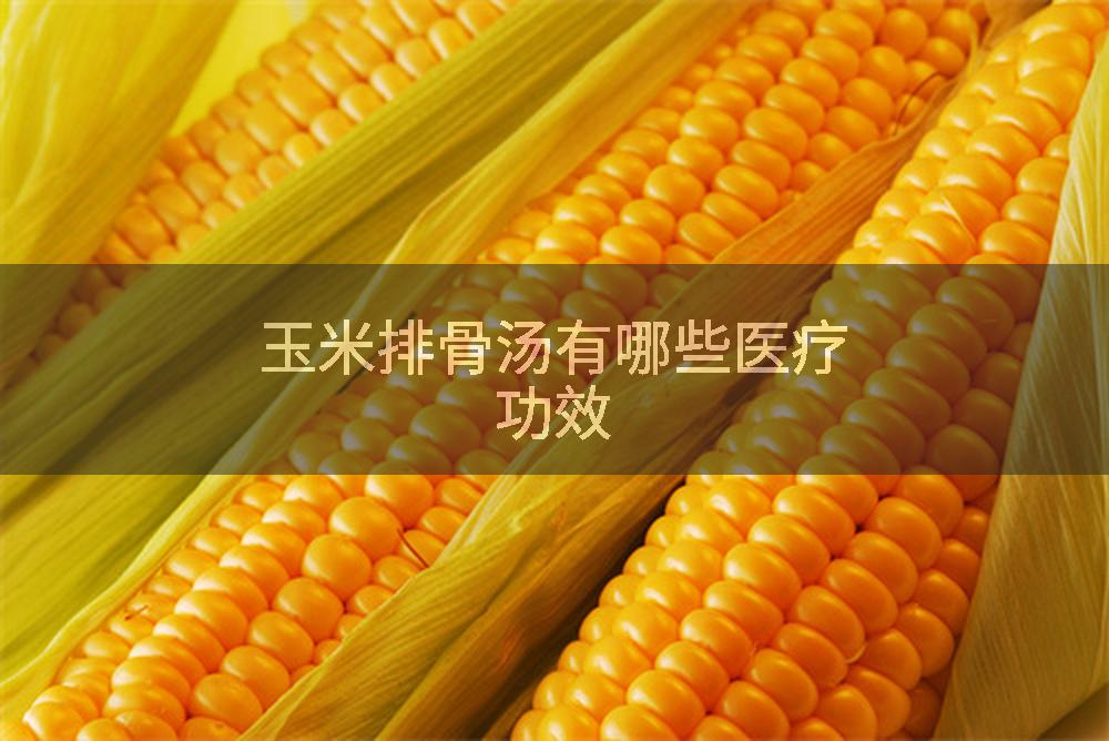 玉米排骨汤有哪些医疗功效