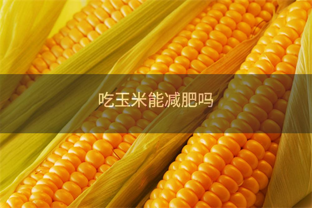 吃玉米能减肥吗