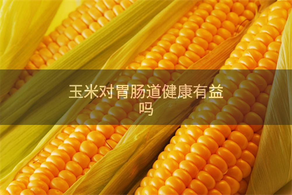 玉米对胃肠道健康有益吗