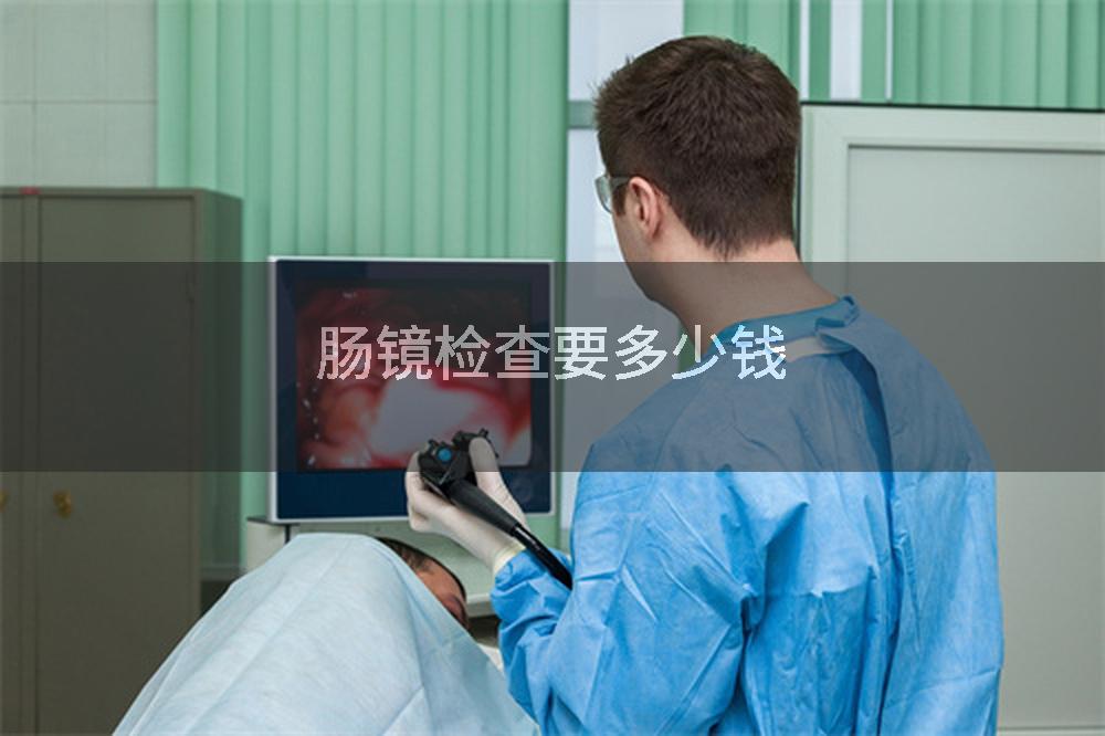 肠镜检查要多少钱