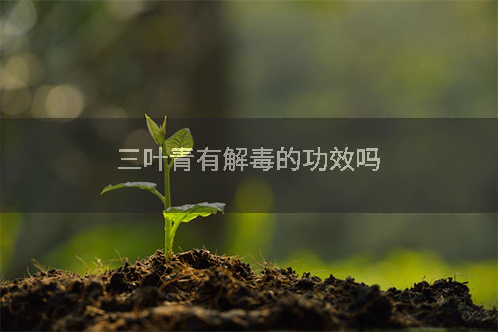 三叶青有解毒的功效吗