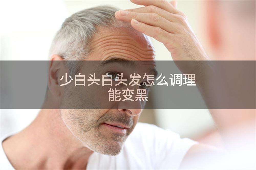 少白头白头发怎么调理能变黑