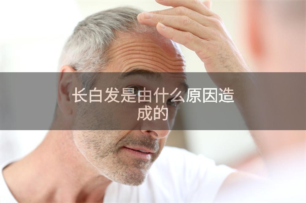 长白发是由什么原因造成的
