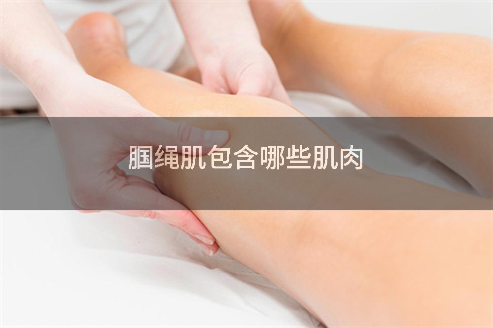 腘绳肌包含哪些肌肉