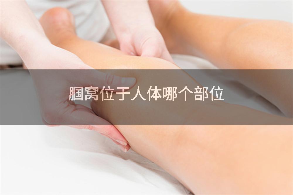 腘窝位于人体哪个部位