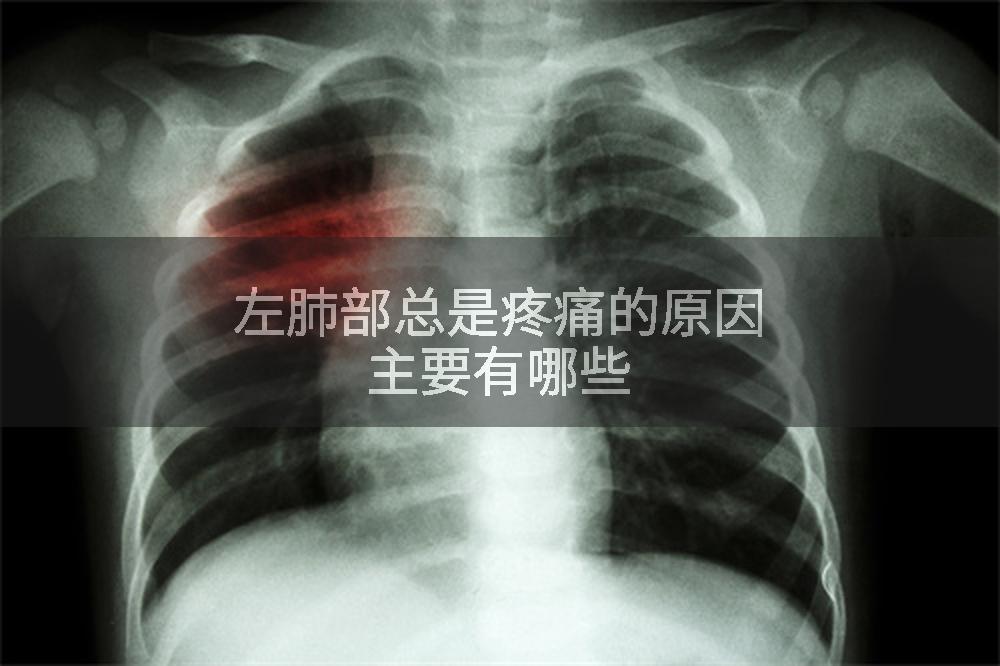 左肺部总是疼痛的原因主要有哪些