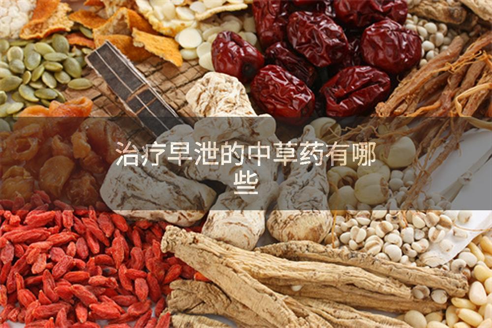 治疗早泄的中草药有哪些