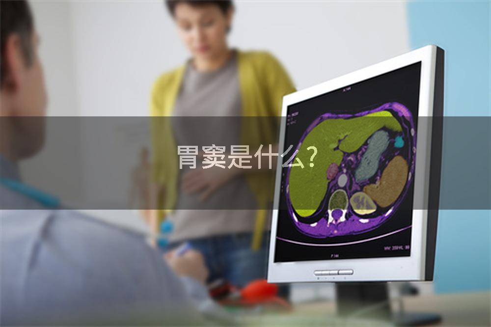 胃窦是什么?