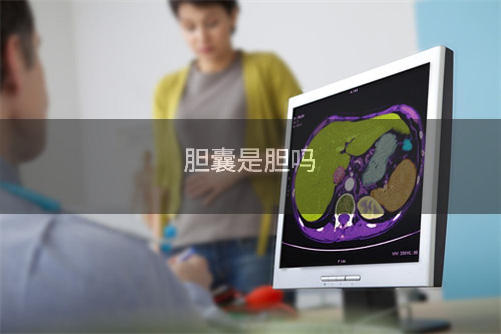 胆囊是胆吗